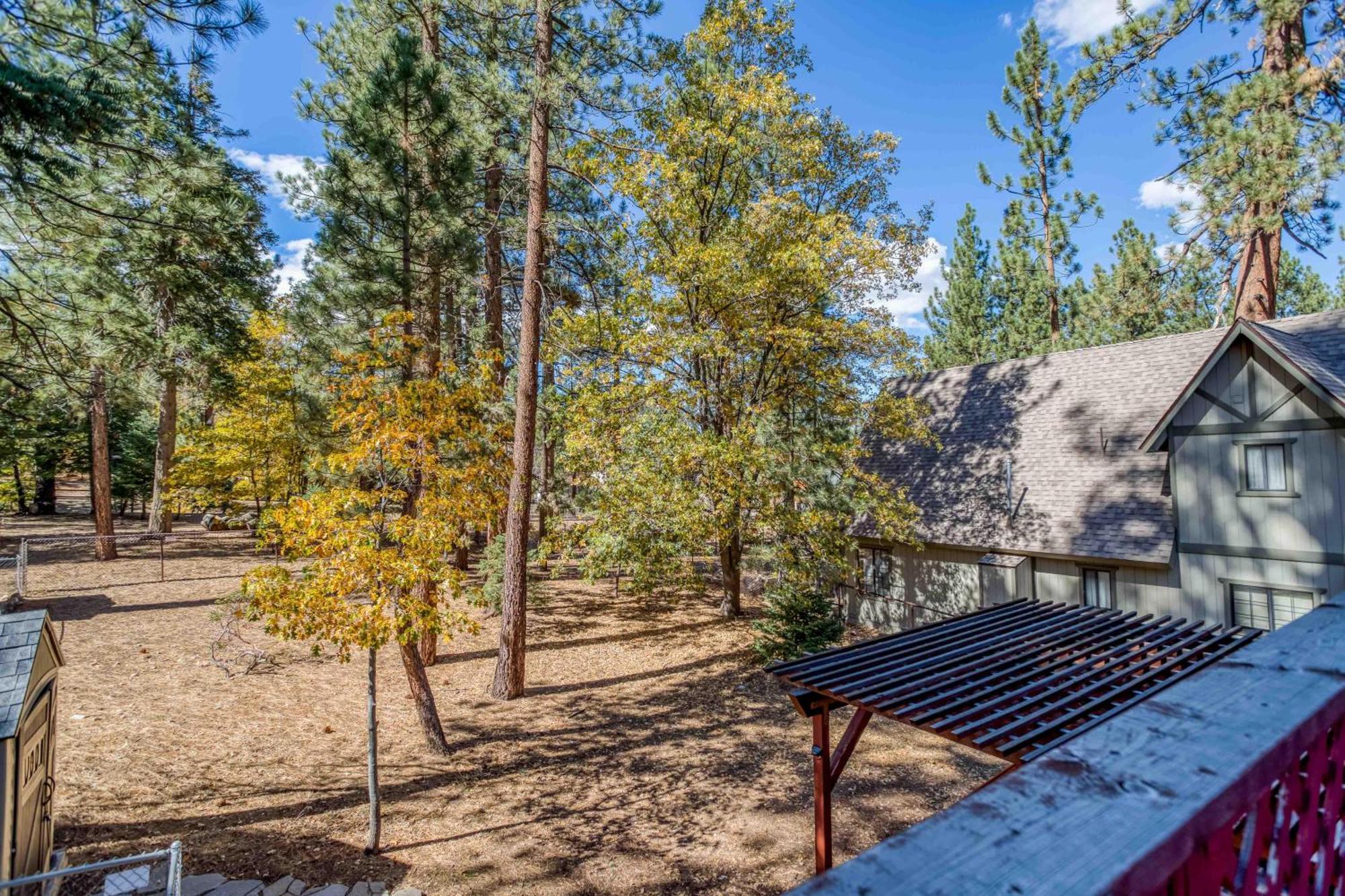 039 - Little Doe Lodge Big Bear Lake Zewnętrze zdjęcie